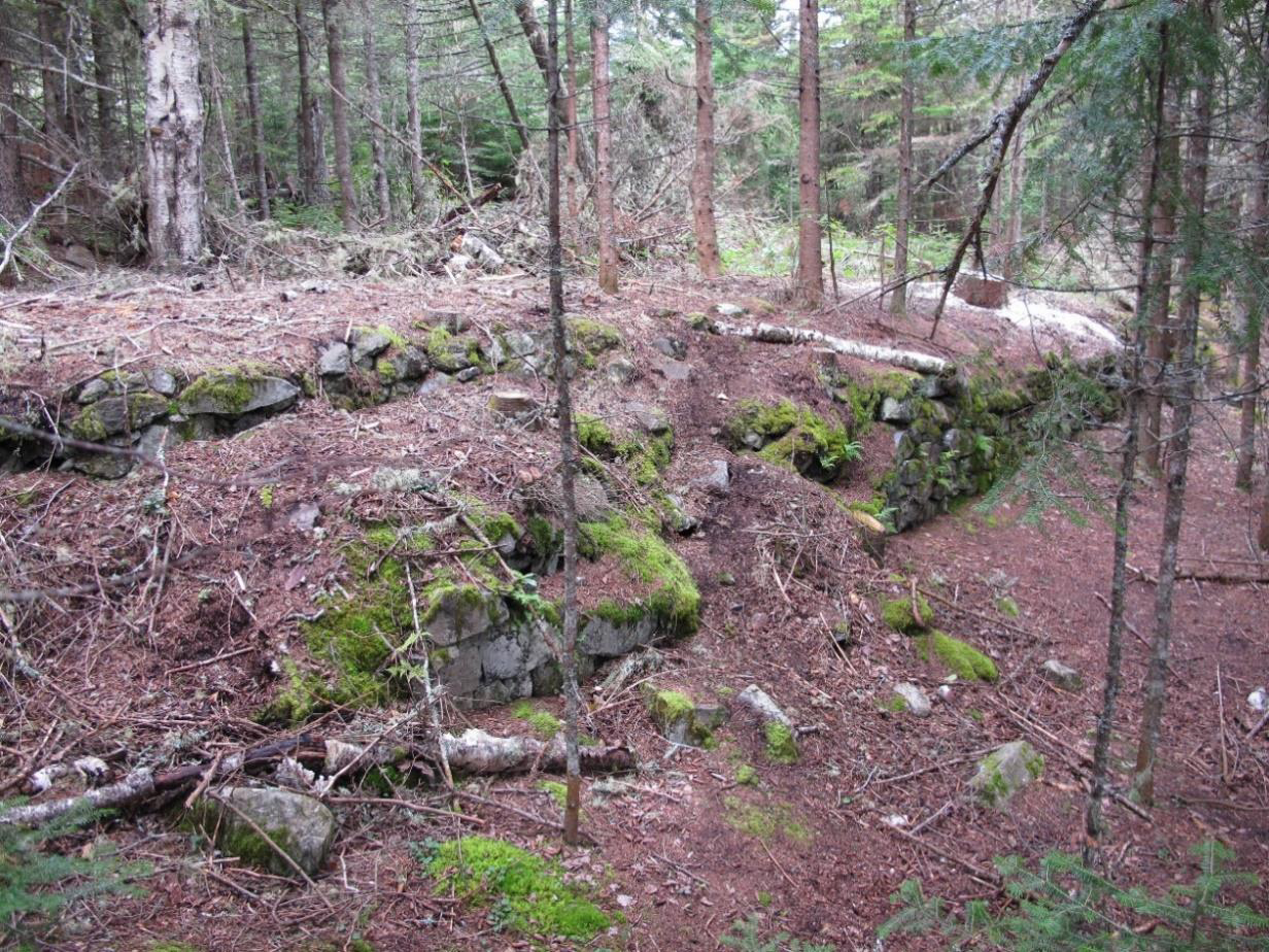 A photo of heavily worn ruins of moss-covered stone foundations surrounded by dense coniferous forest. has context menu