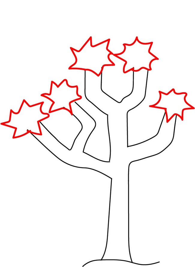 A drawing of a tree. Adding on from the last drawing there are now five leaves drawn on the ends of each branch. The leaves resemble a star shaped pattern.