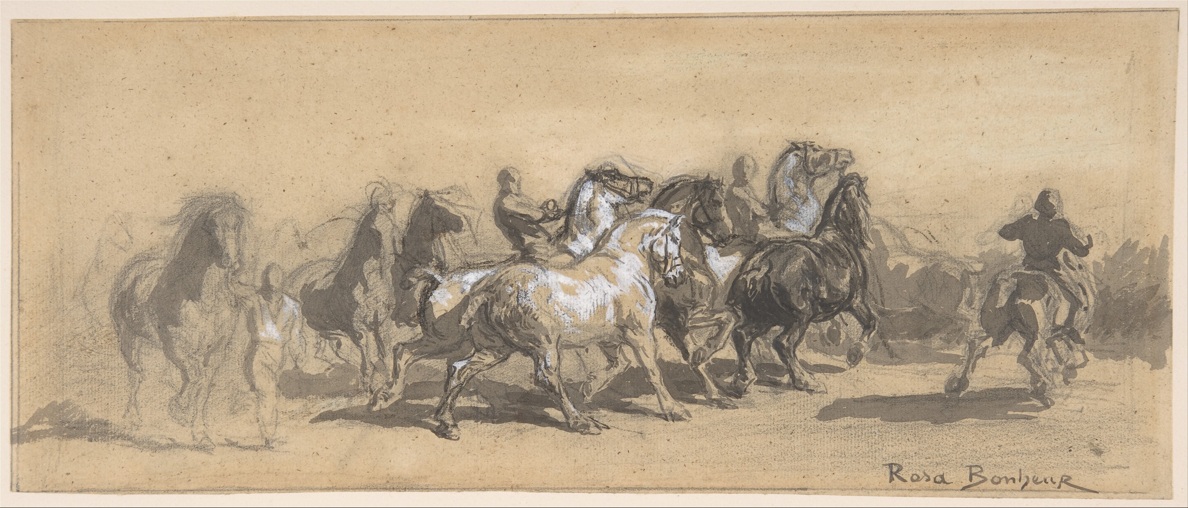 A horizontal black-and-white drawing showing a dynamic group of horses and handlers in motion.