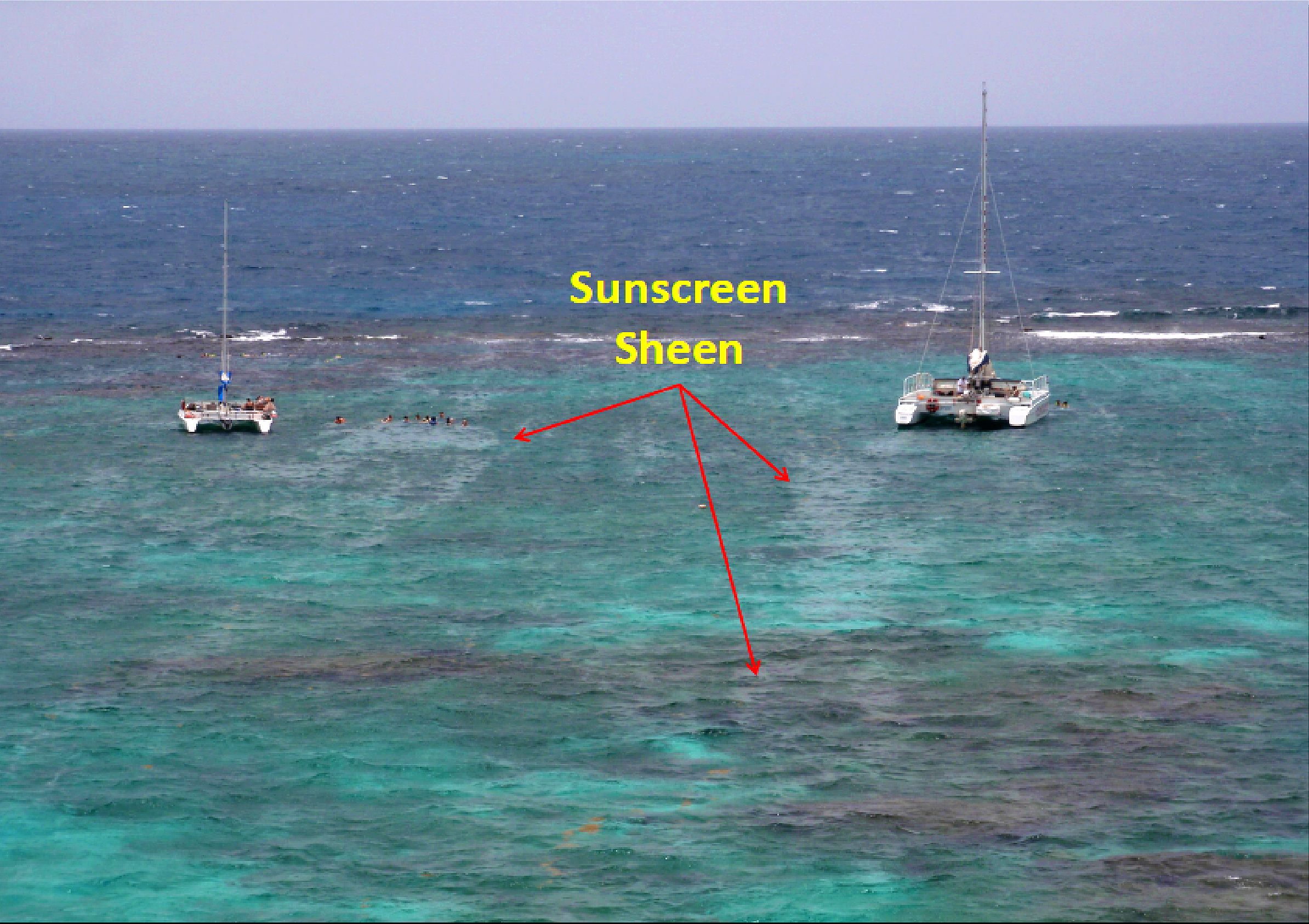 An old photo of ocean water with two pontoon sailboats and swimmers in the water. the words sunscreen sheen are overlaid on the image in yellow with three red arrows pointing to areas of white sheen on the water.