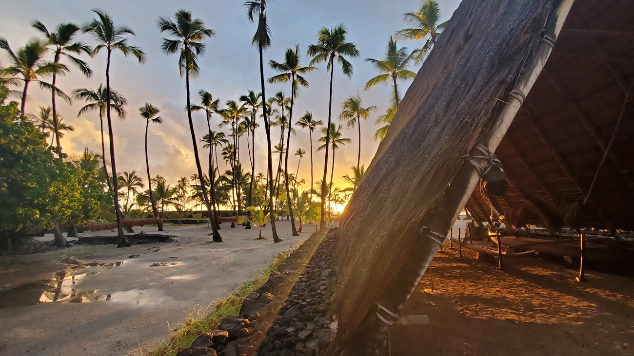 Half of an a-frame thatched canoe hale (house) at sunset with coconut trees in the background