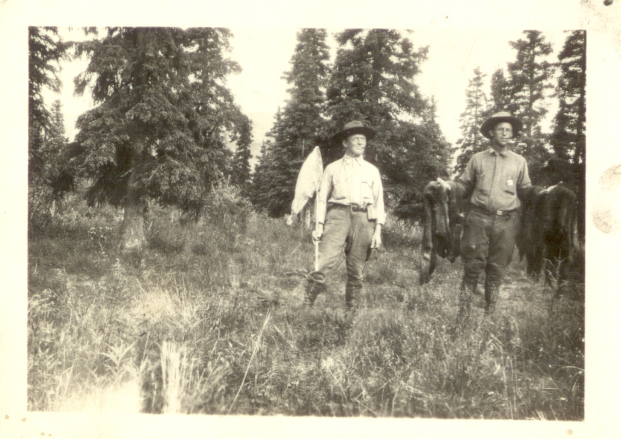 two men standing in a forest clearing holding butterfly nets