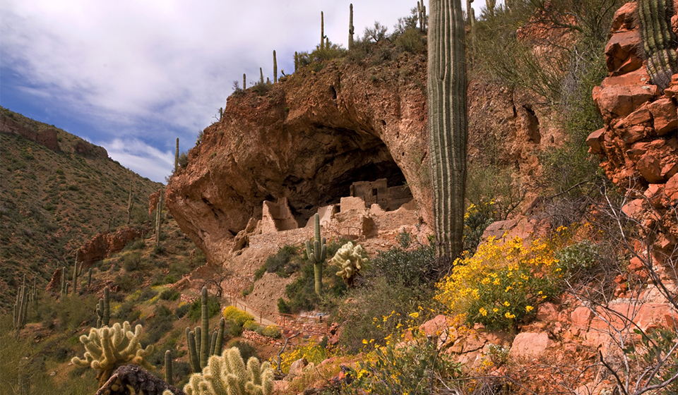 Mud wall ruins in a large cavern in the side of a desert hill covered in exposed rock, cactus, and desert shrubs and plants.