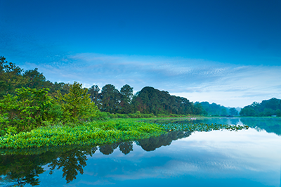 A body of water with green trees.