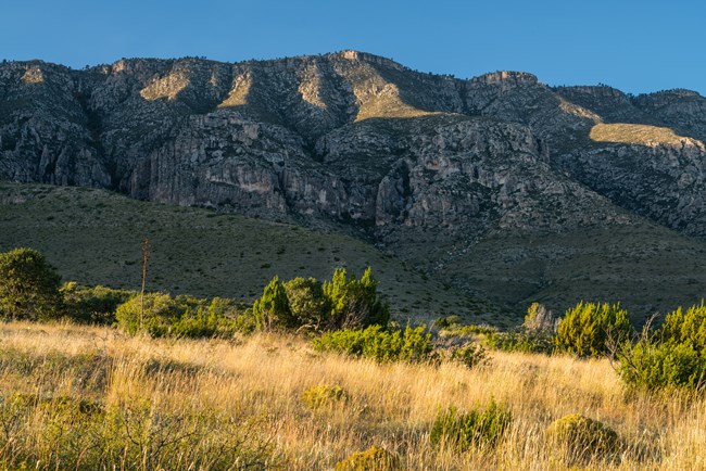 A long ridge of desert mountains rises above the desert floor.