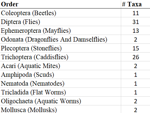 Chart of the taxa found during the 2015 bioblitz.