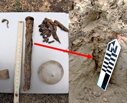 Tent Stake in situ and post excavation