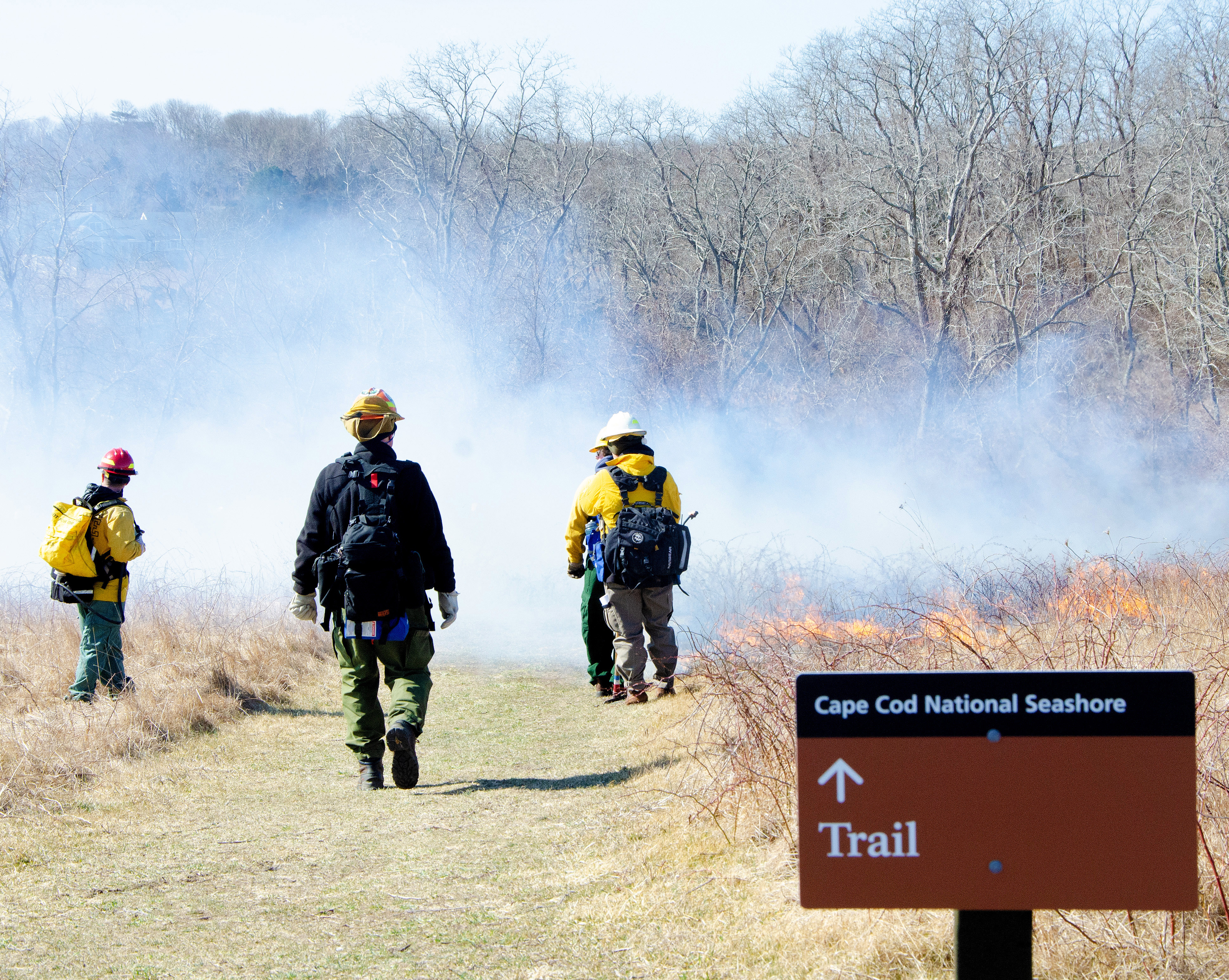 A group of wildland firefighters observe a prescribed burn next to a trail. In the foreground is a Cape Cod National Seashore trail sign