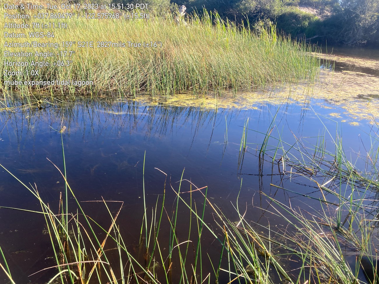 Narrow, winding area of open water surrounded by rushes and other vegetation.