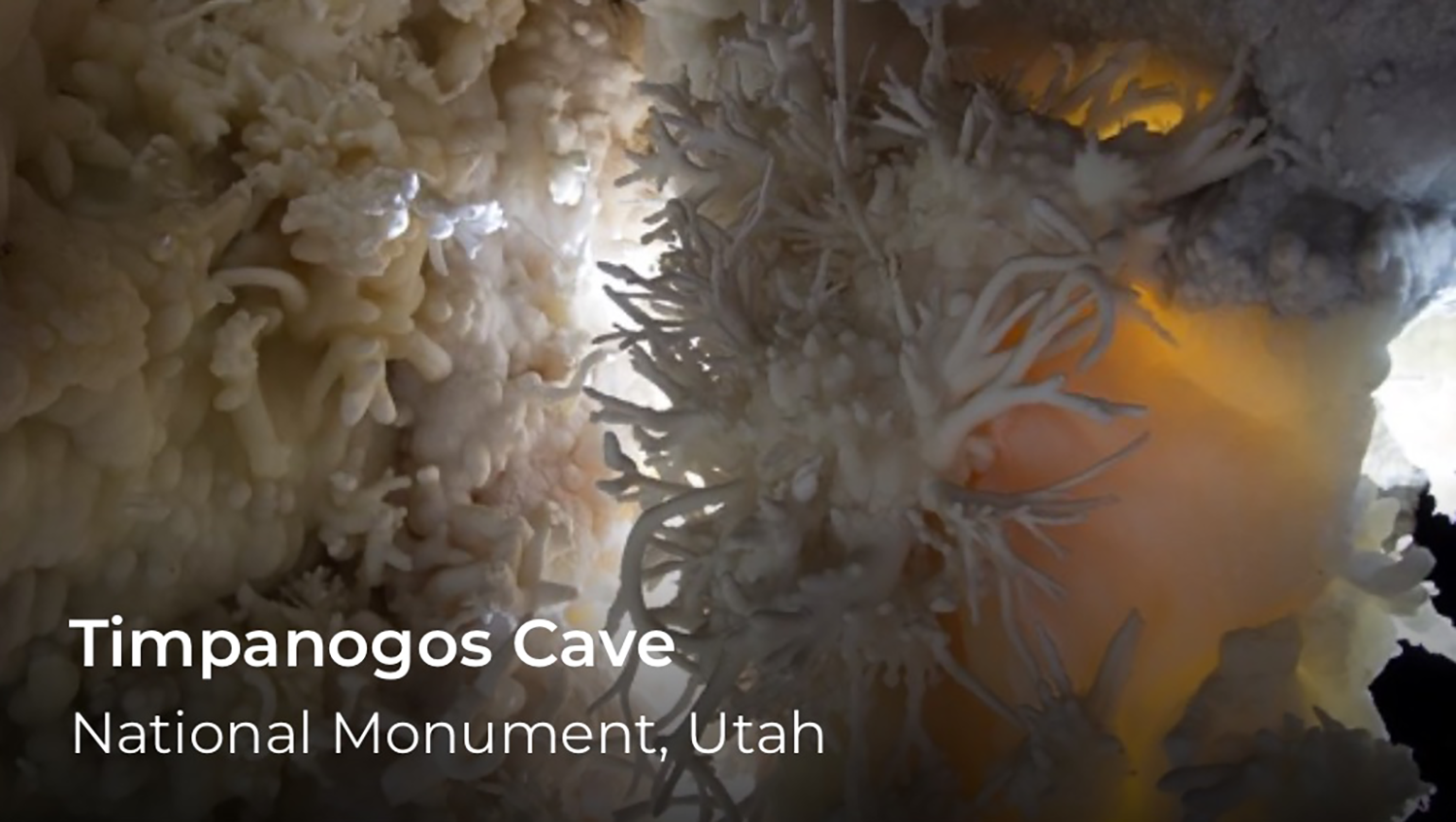 A closeup of cave features. Timpanogos Cave is written in the lower left.