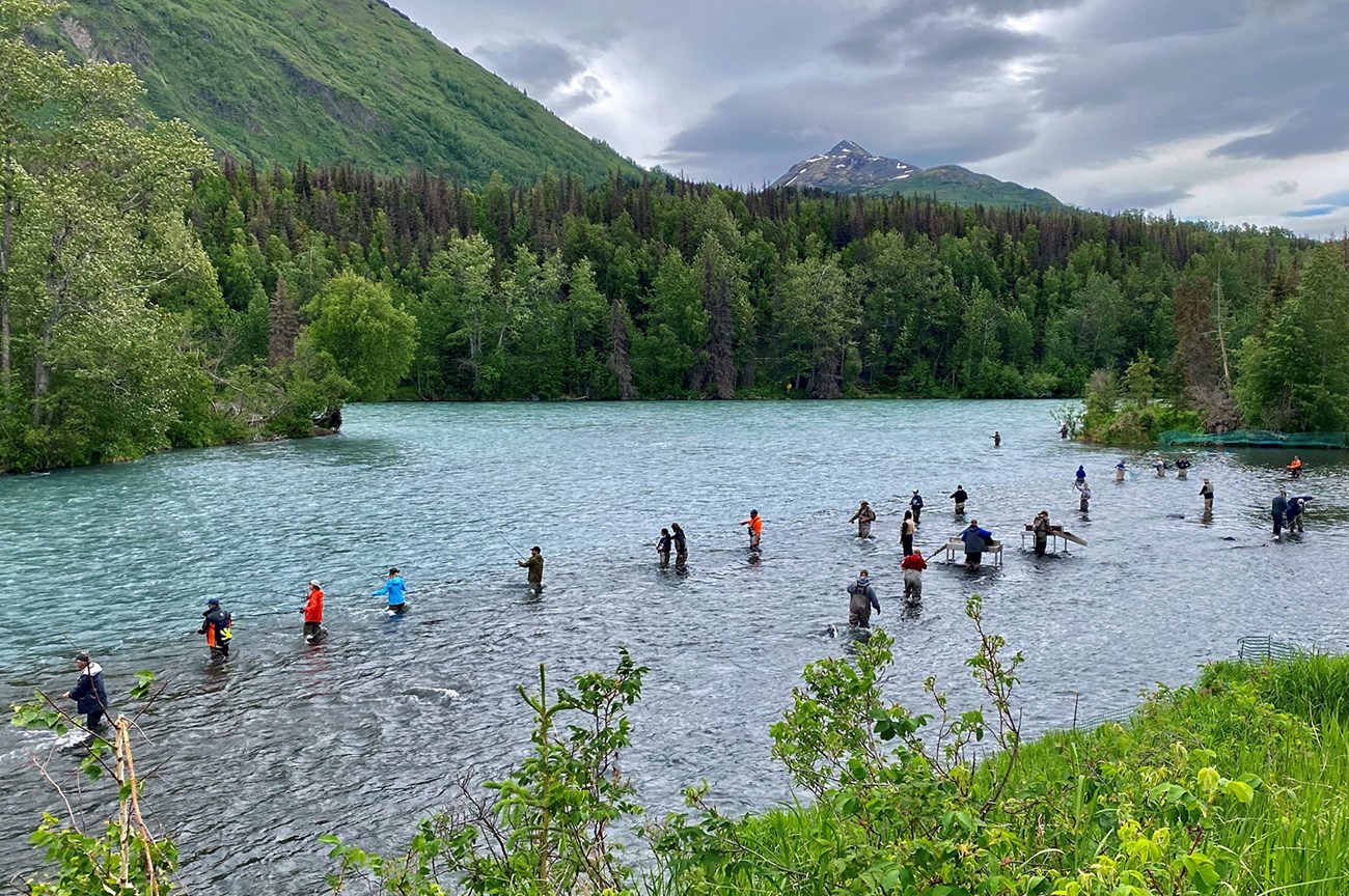 A verdant forest surrounds a scenic river filled with people fishing. Snow-capped mountains are in the background.