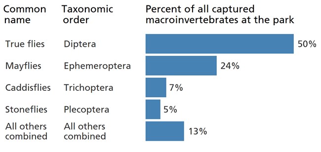 Blue bar chart showing the larvae of "true flies" are the most common macroinvertebrate in park streams.