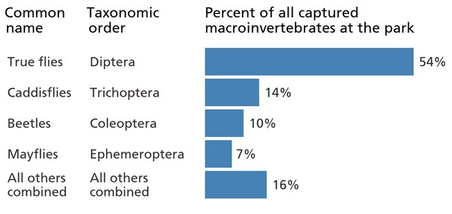 Blue bar chart showing the larvae of "true flies" are the most common macroinvertebrate in park streams.
