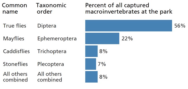 Blue bar chart showing the larvae of "true flies" are the most common macroinvertebrate in park streams.