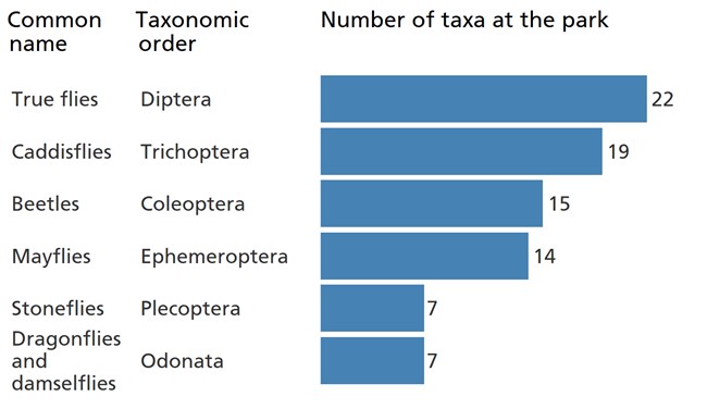 Blue bar chart showing that true flies are the most diverse group of benthic macroinvertebrates in the park.