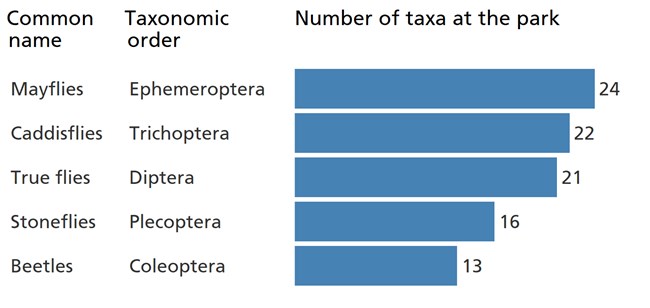 Blue bar chart showing that mayflies are the most diverse group of benthic macroinvertebrates in the park.