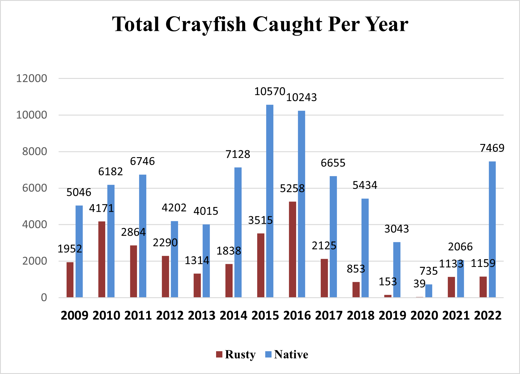Chart showing roughly twice as many native crayfish as rusty crayfish captured each year between 2009 and 2022