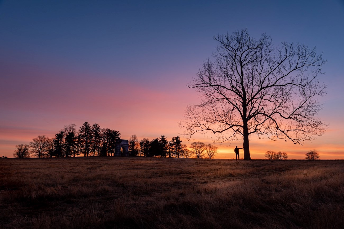 trees and the national memorial arch are silhouetted on the horizon in front of a blazing sunset. a person stands in the foreground with an arm extended to a large branching tree