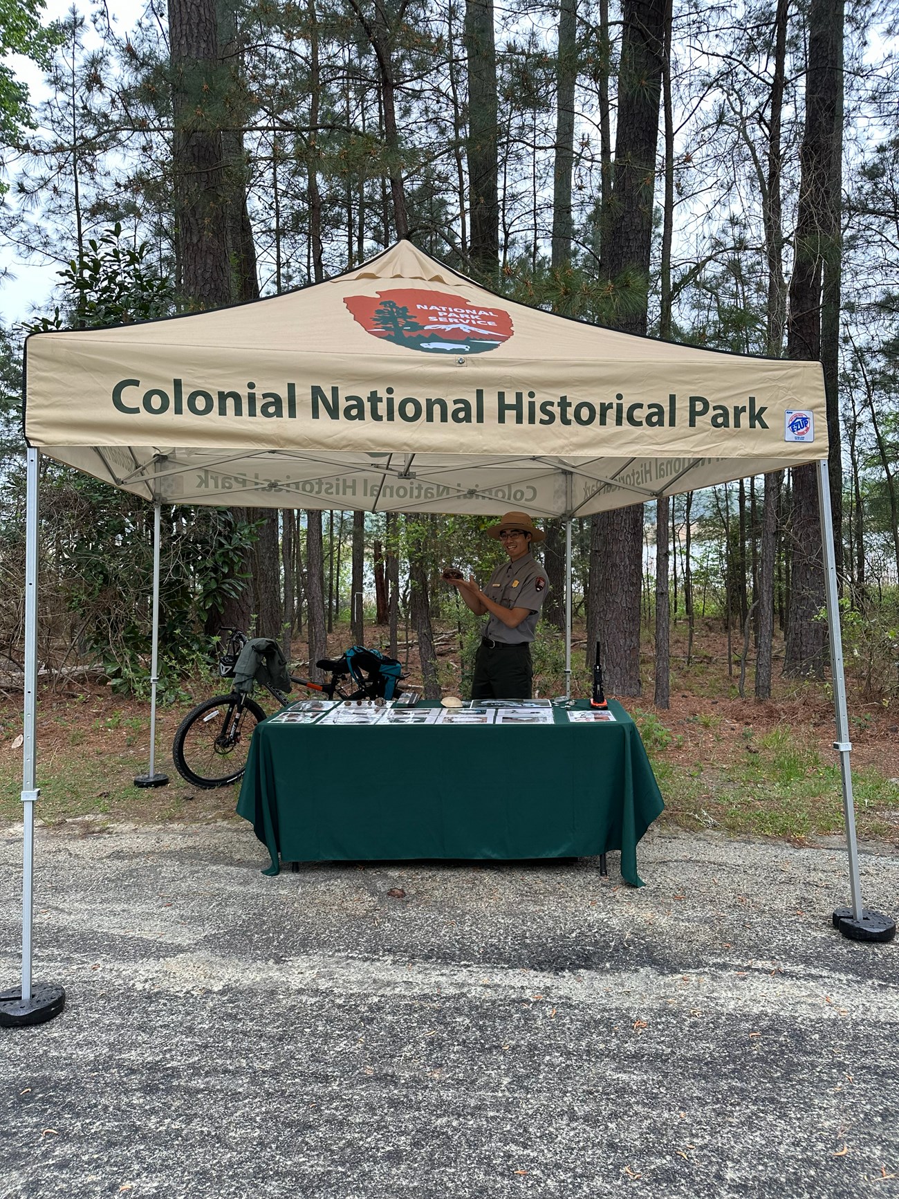 A ranger holds a turtle shell under a pop-up tent outdoors.