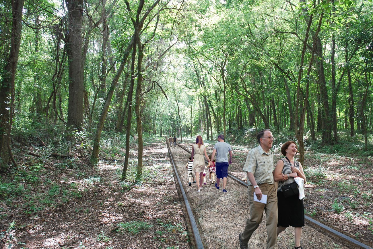 People walk down a trail through the forest.