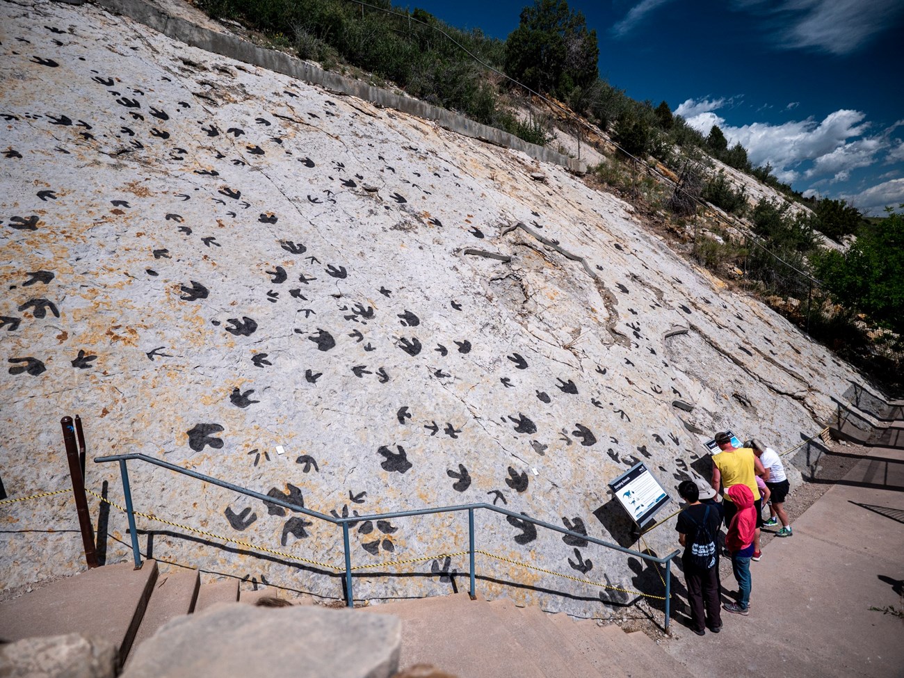 Photograph of hundreds of 3-toed dinosaur tracks on light colored sandstone. Tracks have been darkened with charcoal dust so they appear dark gray.