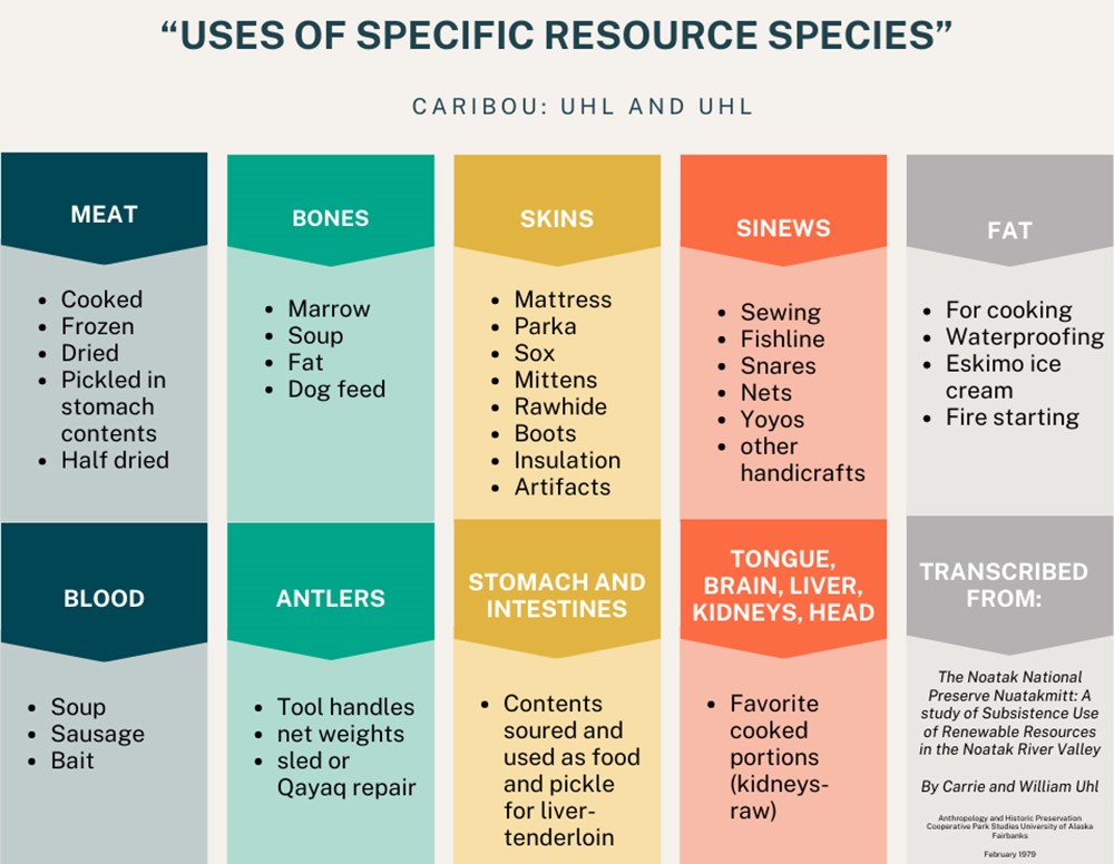 A graphic showing the different parts of a caribou and how they are used.