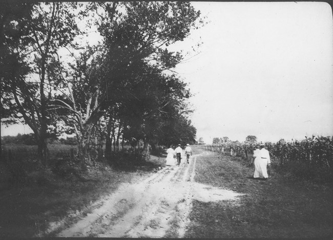 visitors walking on dirt roadway with fields on either side