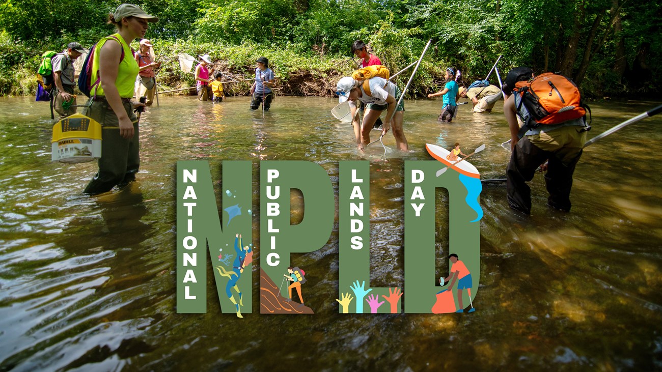 volunteers stand in a creek wearing rubber boots and holding butterfly nets.