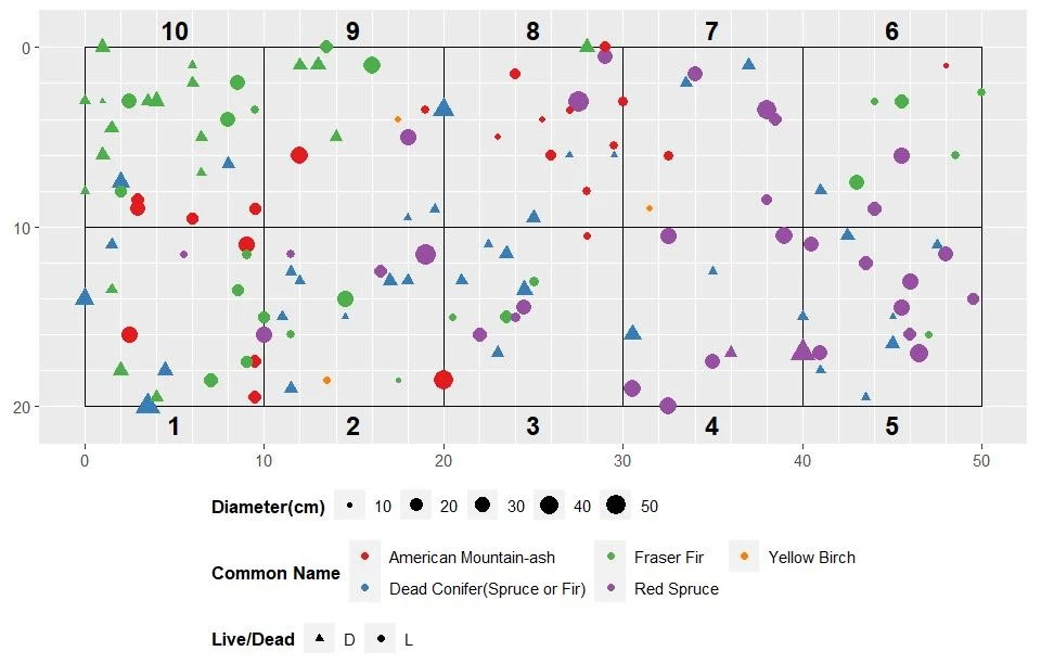 Plotting the Future: A Day in the Life of a Forest Ecologist (U.S ...