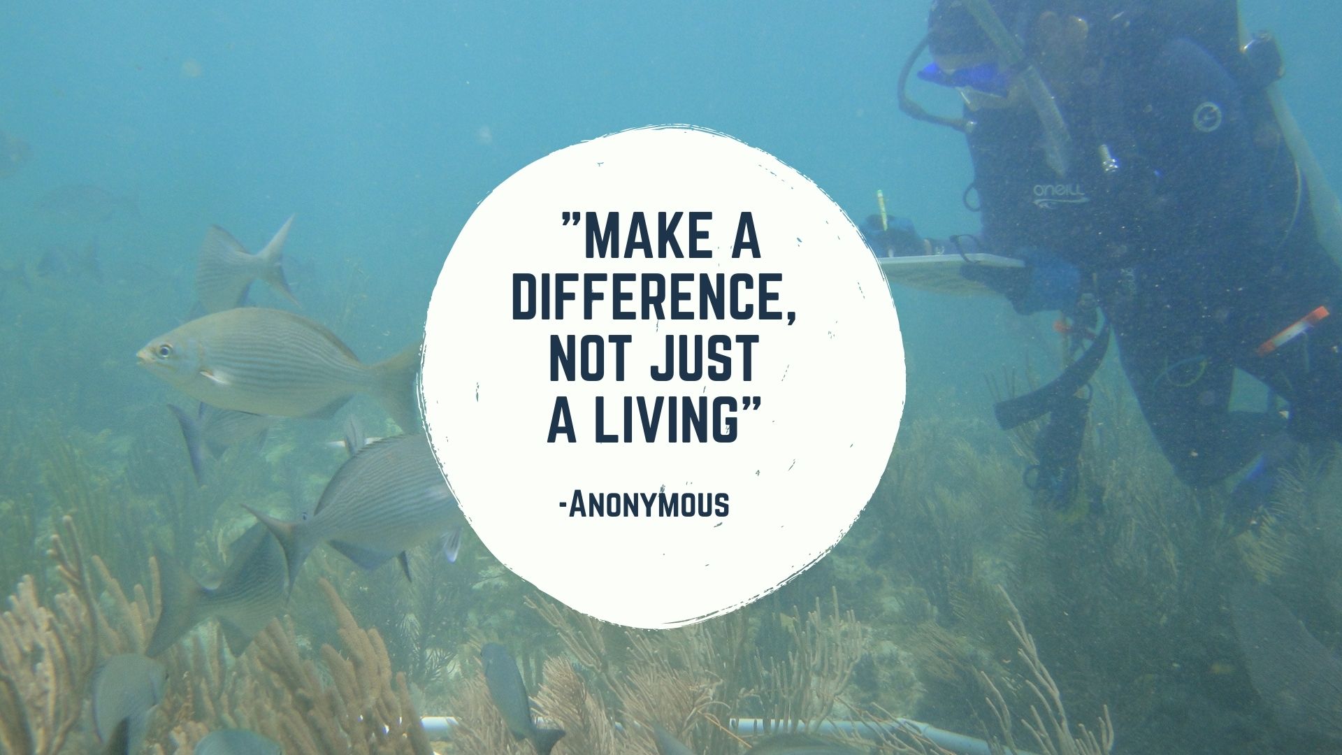 photo of a scuba diver with the quote "Make a difference, not just a living" -Anonymous