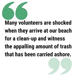 pull quote reads Many volunteers are shocked when they arrive at our beach for a clean-up and witness the appalling amount of trash that has been carried ashore