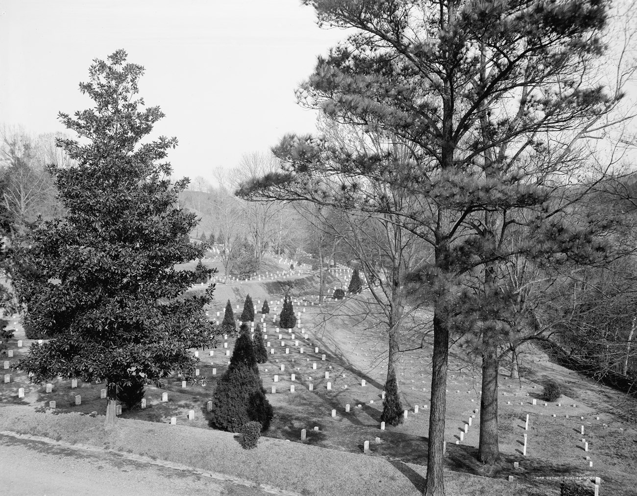 Black and white photo of a cemetery with neat rows of headstones. Tall trees and small shrubs create a somber, peaceful atmosphere.
