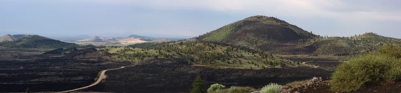 several cinder cones among large areas of black lava flows with some large patches of trees and shrubs