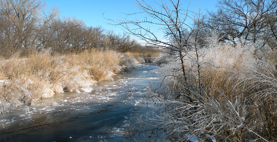 A river with iced up edges lined by frosted and snow covered vegetation.