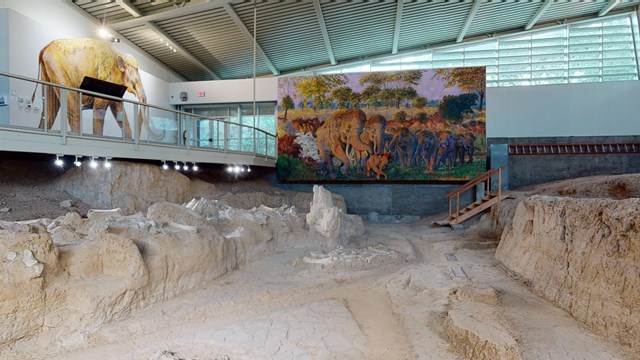 Photo inside of mammoth dig shelter