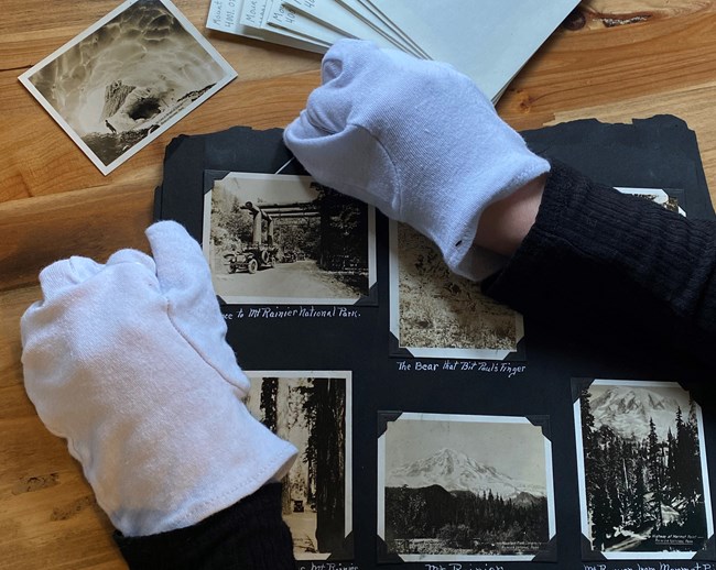 Two gloved hands carefully use a taught, floss-like string to remove an old image from a scrapbook as part of curatorial work at Mount Rainer National Park.