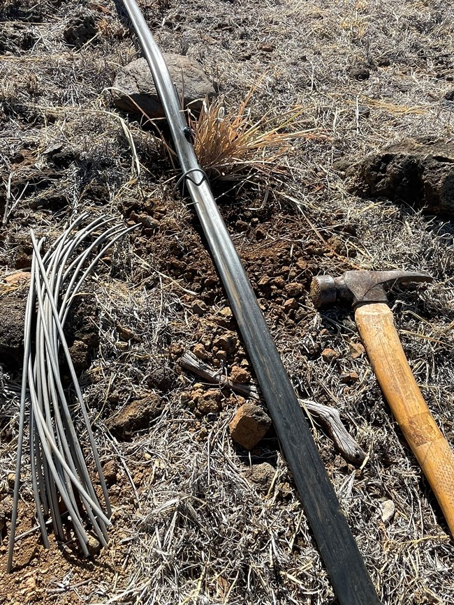 Black water line host laid next to planting holes