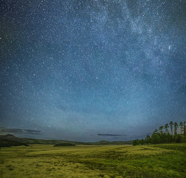 A starry night sky over a montane grassland.