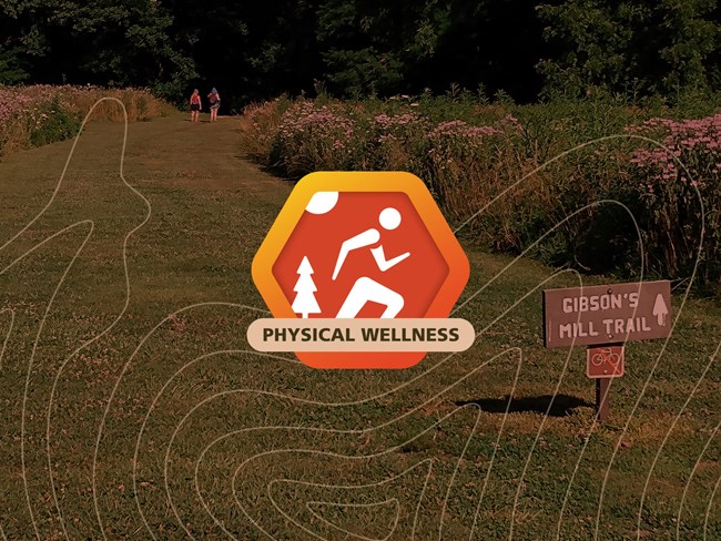 orange hexagon logo and on top in white a person running, a tree, and sun depicting the physical Wellness Challenge at Wilson's Creek