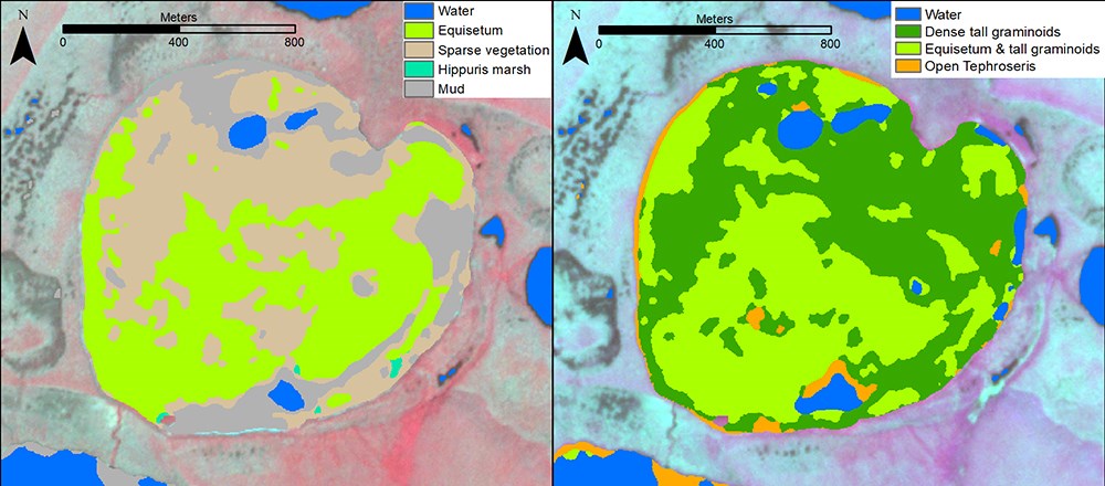 Side-by-side comparison of revegetation of study lakes.