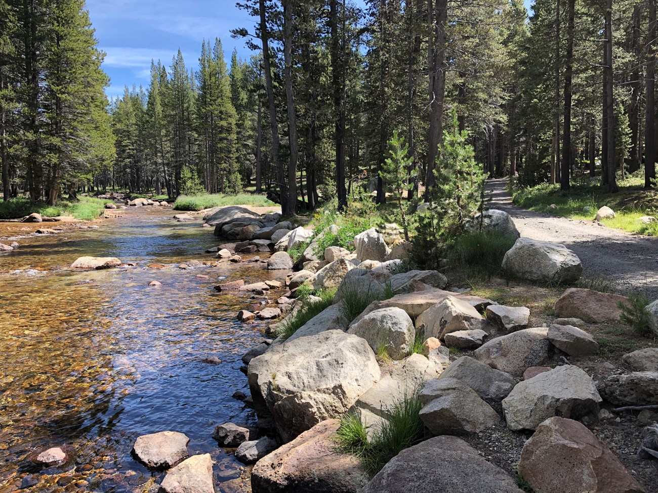 Creek along a trail in the woods