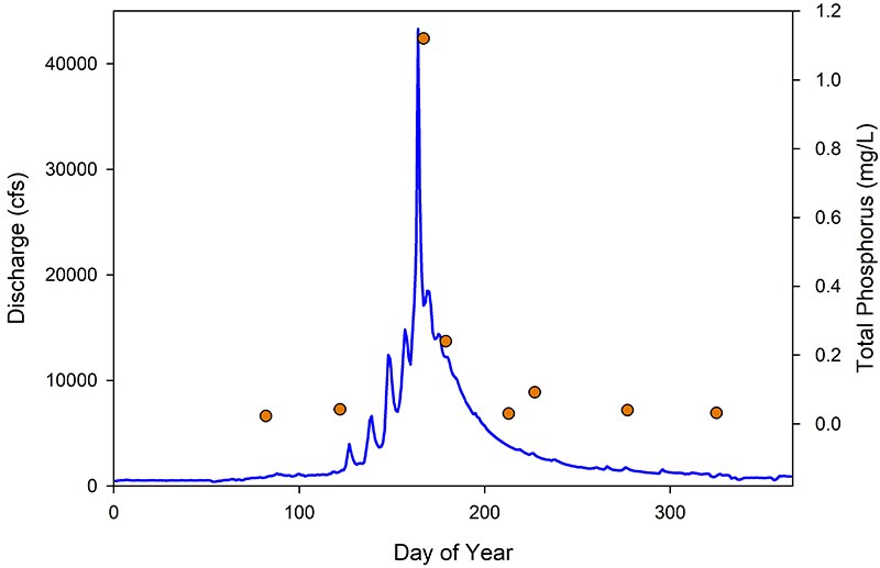 Graph of daily discharge showing historic peak in June and increased total phosphorus levels around the peak.