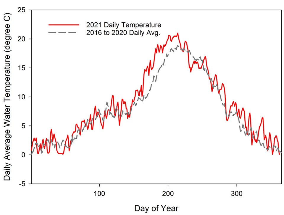 A line graph of daily water temperature in 2021 compared to the average for 2014 to 2020. Temperatures were warmer than normal and warmest days were earlier in the year.