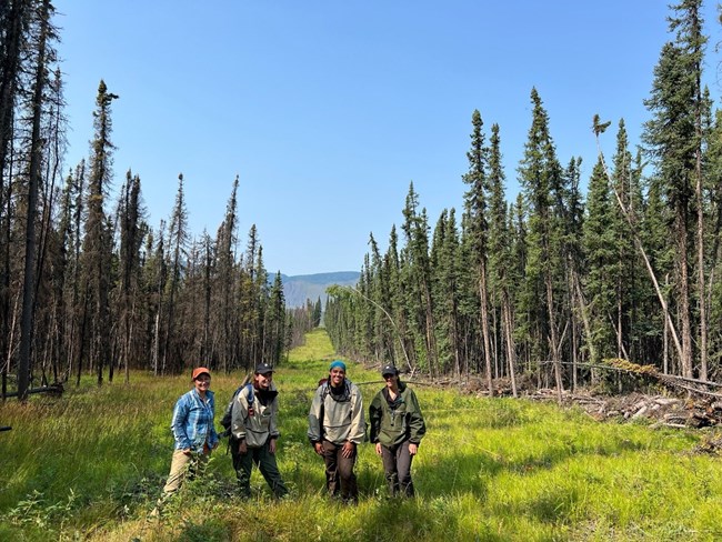 Four women stand in a grassy clearing of a forested area, smiling at the camera