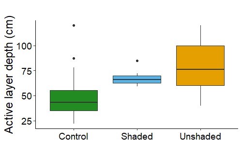 Boxplot showing the active layer thickness, or depth to permafrost, in the plots in natural forest and in the shaded and unshaded fuel breaks.