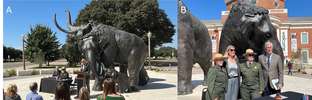 Left image shows Baylor University President speaking in front of 3 bronze mammoth statues. Right image shows site paleontologist and superintendent with Baylor University President and Mayborn Museum Complex Director in front of a bronze mammoth.