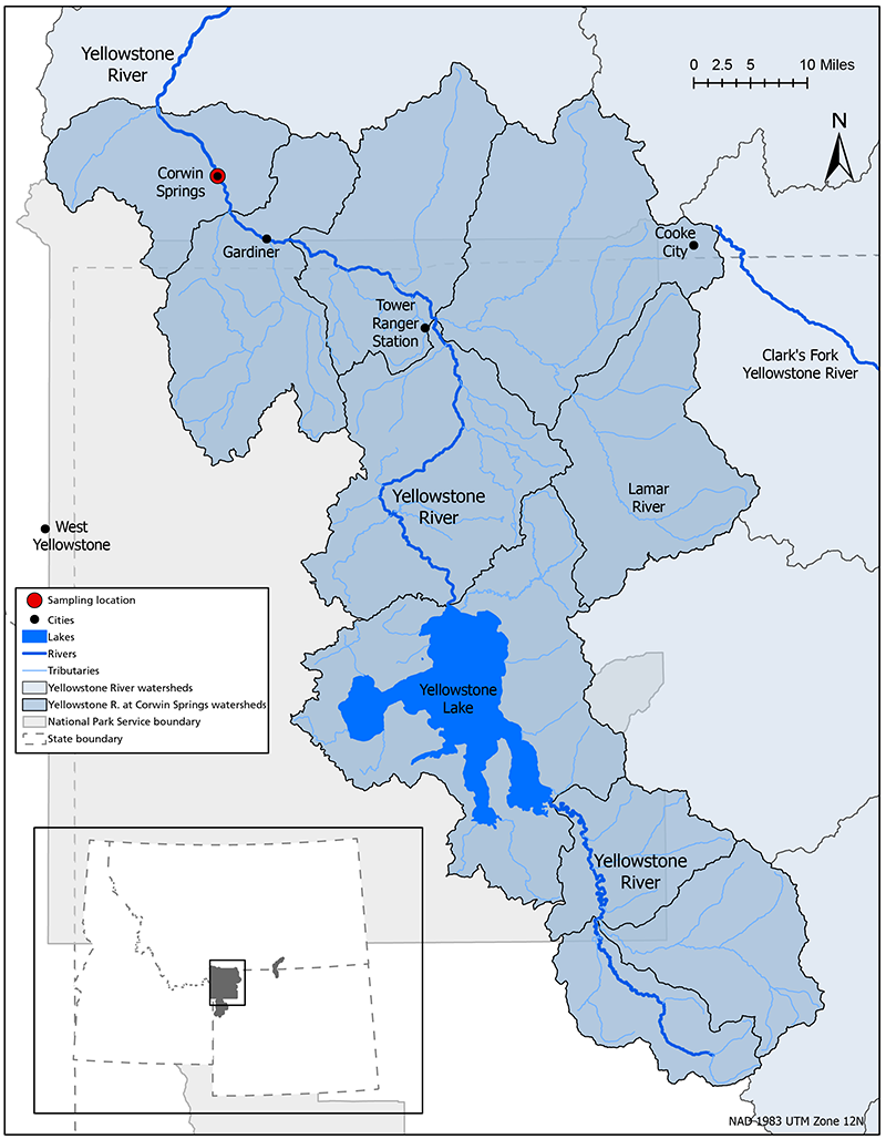 Map of the Yellowstone River watershed and the sampling location outside of the north end of the park.