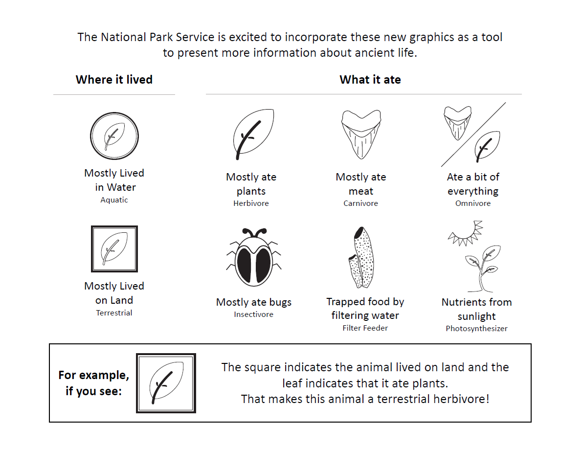 Icons used to indicate habitat (circle for aquatic, square for terrestrial) and diet (leaf for herbivore, tooth for carnivore, tooth and leaf for omnivore, beetle for insectivore, sponge for filter feeder, and sun for photosynthesizer)