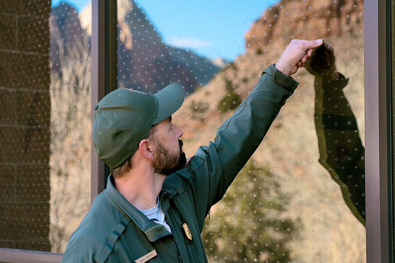 Adam Reimer, in NPS uniform, reaches up towards one of hundreds of nearly invisible dots on a window that is reflectig the red-orange rock formations of Zion National Park.