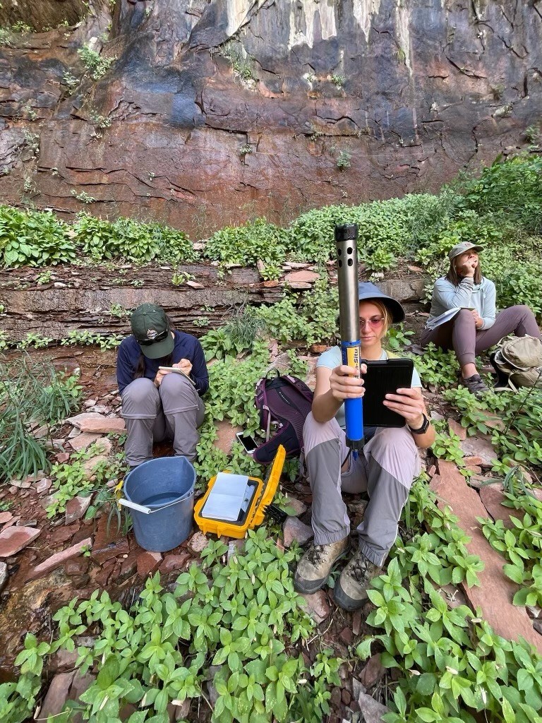 Three people sit on rocks surrounded by greenery while conducting fieldwork.